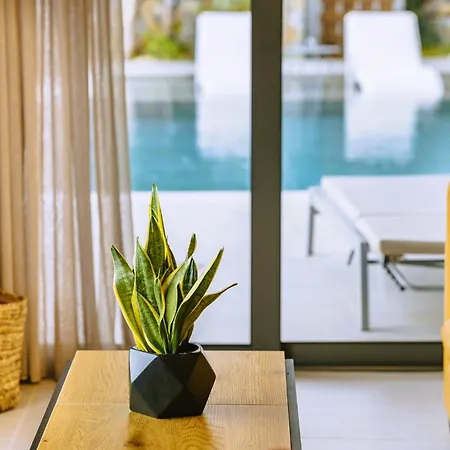 Anemos Luxury Villas Villa *